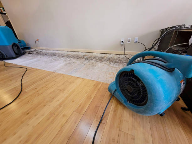 Professional Burst Pipe Water Damage technician working in Wadmalaw Island, SC